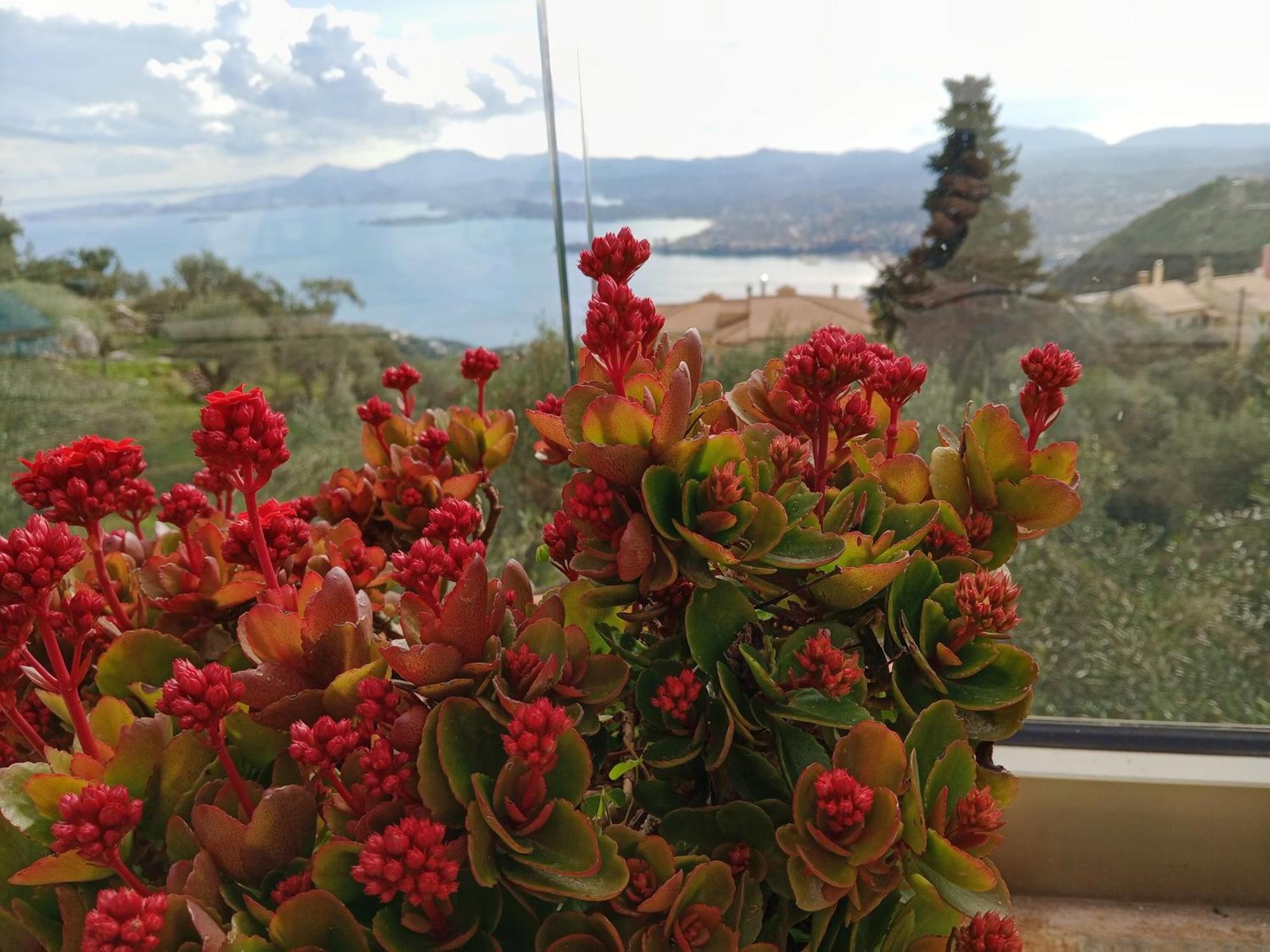 Villa Rizaria Sea View House Spartylas Exterior foto